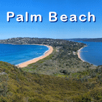 Palm  Beach icon